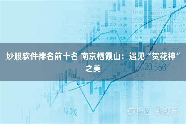 炒股软件排名前十名 南京栖霞山：遇见“贺花神”之美